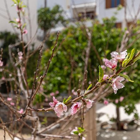Amaranto Naxos Leilighet Naxos City Eksteriør bilde